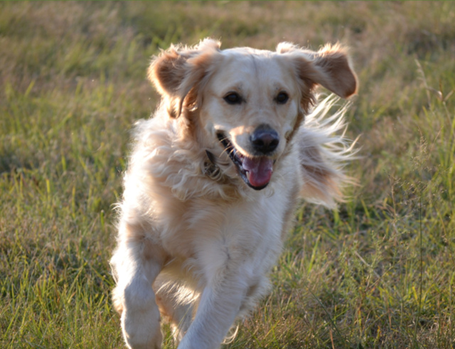 Photo Credit: Suzette Coetzee