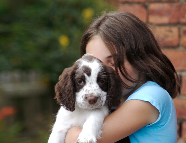 Photo Credit: smlp.co.uk